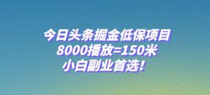 今日头条掘金低保项目，8000播放=150米，小白副业首选【揭秘】-一点通资源网