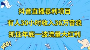 抖音直播暴利项目,有人30小时收入36万音浪,公司宣传片年会视频制作,抓住年底一波流量大红利【揭秘】-一点通资源网