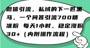 怎么搞精准创业粉?微信新赛道,每天一小时,利用Ai一个问答日引100精准粉-一点通资源网