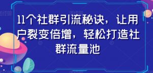 11个社群引流秘诀,让用户裂变倍增,轻松打造社群流量池-一点通资源网