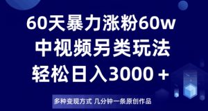 60天暴力涨粉60W，中视频另类玩法，日入3000＋，几分钟一条原创作品多种变现方式-一点通资源网