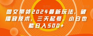 图文带货2024最新玩法，破播放技术，三天起号，小白也能日入500+【揭秘】-一点通资源网
