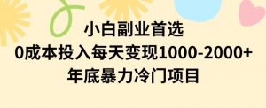 小白副业首选，0成本投入，每天变现1000-2000年底暴力冷门项目【揭秘】-一点通资源网