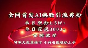 全网首发Ai换脸引流男粉,单日涨粉1.5w+,单日变现3000+,小白也能轻松上手拿结果【揭秘】-一点通资源网