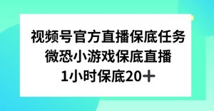 视频号直播任务，微恐小游戏，1小时20+【揭秘】-一点通资源网
