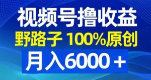 视频号野路子撸收益，100%原创，条条爆款，月入6000＋【揭秘】-一点通资源网