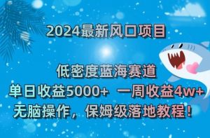 2024最新风口项目，低密度蓝海赛道，单日收益5000+，一周收益4w+！【揭秘】-一点通资源网