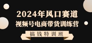 2024年风口赛道视频号电商带货训练营搞钱特训班，带领大家快速入局自媒体电商带货-一点通资源网