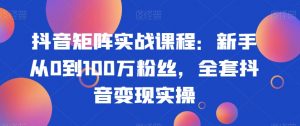 抖音矩阵实战课程:新手从0到100万粉丝,全套抖音变现实操-一点通资源网