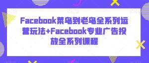 Facebook菜鸟到老鸟全系列运营玩法+Facebook专业广告投放全系列课程-一点通资源网