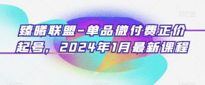 臻曦联盟-单品微付费正价起号,2024年1月最新课程-一点通资源网