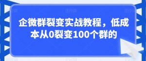 企微群裂变实战教程,低成本从0裂变100个群的-一点通资源网