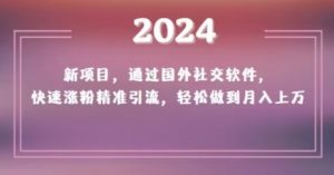2024新项目，通过国外社交软件，快速涨粉精准引流，轻松做到月入上万【揭秘】-一点通资源网