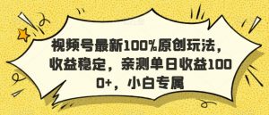 视频号最新100%原创玩法，收益稳定，亲测单日收益1000+，小白专属【揭秘】-一点通资源网