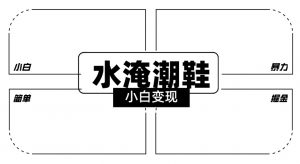 2024全新冷门水淹潮鞋无人直播玩法，小白也能轻松上手，打爆私域流量，轻松实现变现【揭秘】-一点通资源网