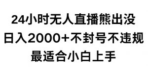 快手24小时无人直播熊出没，不封直播间，不违规，日入2000+，最适合小白上手，保姆式教学【揭秘】-一点通资源网