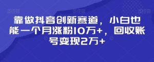靠做抖音创新赛道,小白也能一个月涨粉10万+,回收账号变现2万+【揭秘】-一点通资源网