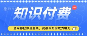 2024最新知识付费项目,小白也能轻松入局,全网都在教你做项目,我教你做镰刀【揭秘】-一点通资源网