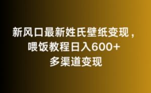 新风口最新姓氏壁纸变现，喂饭教程日入600+【揭秘】-一点通资源网
