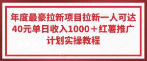 年度最豪拉新项目拉新一人可达40元单日收入1000+红薯推广计划实操教程【揭秘】-一点通资源网