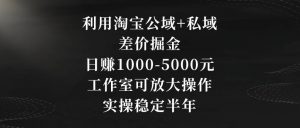 利用淘宝公域+私域差价掘金，日赚1000-5000元，工作室可放大操作，实操稳定半年【揭秘】-一点通资源网