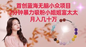 首创蓝海无脑小众项目，2分钟暴力吸粉小姐姐富太太，月入几十万【揭秘】-一点通资源网