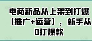 电商新品从上架到打爆【推广+运营】,新手从0打爆款-一点通资源网