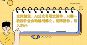 全网首发，AI公众号爆文插件，只需一款插件全自动输出爆文，矩阵操作，月入3W+【揭秘】-一点通资源网