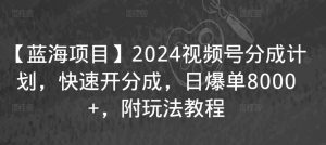 【蓝海项目】2024视频号分成计划，快速开分成，日爆单8000+，附玩法教程-一点通资源网