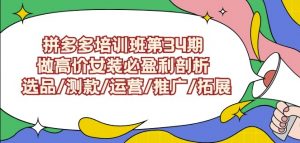 拼多多培训班第34期:做高价女装必盈利剖析选品/测款/运营/推广/拓展-一点通资源网