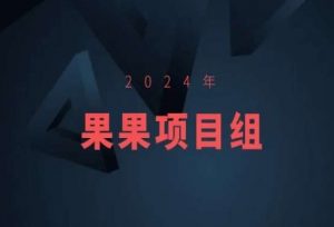 2024年果果项目组项目合集-果果最新项目-一点通资源网