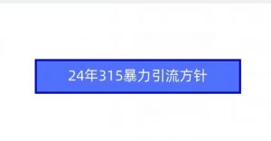 24年315暴力引流方针-一点通资源网
