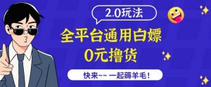 外面收费2980的全平台通用白嫖撸货项目2.0玩法【仅揭秘】-一点通资源网