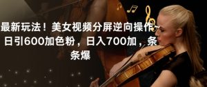 最新玩法！美女视频分屏逆向操作~日引600加色粉，日入700加，条条爆【揭秘】-一点通资源网