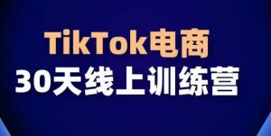 TikTok电商带货30天线上课,不可错过的全球流量洼地!-一点通资源网