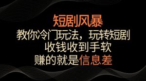 短剧风暴,教你冷门玩法,玩转短剧,收钱收到手软【揭秘】-一点通资源网
