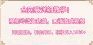 全网最详细教学,视频号蓝海赛道,口播情感视频,无需露脸,制作简单,轻松实现日入1000+【揭秘】-一点通资源网