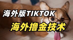 抖音海外版tiktok撸金技术，这个风口行业，赚钱真的不难【揭秘】-一点通资源网