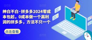 拼多多2024零成本包起,0成本做一个高利润的拼多多,方法不只一个-一点通资源网