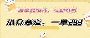 小众赛道，一单299.简单易操作，长期可做【揭秘】-一点通资源网