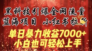蓝海项目!黑科技引爆全网流量小红书拉新，单日暴力收益7000+，小白也能轻松上手【揭秘】-一点通资源网
