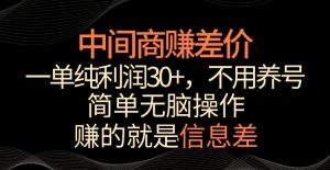 中间商赚差价，一单纯利润30+，简单无脑操作，赚的就是信息差，轻轻松松日入1000+【揭秘】-一点通资源网
