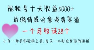 十天收益5000+,多平台捞金,视频号情感治愈漫剪,一个月收徒28个,小白一部手机轻松上手【揭秘】-一点通资源网