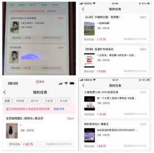 2024年3月最新，快手磁力聚星全流程实操教学，8台手机日均收益稳定100~200元【揭秘】-一点通资源网