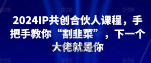2024IP共创合伙人课程，手把手教你“割韭菜”，下一个大佬就是你-一点通资源网