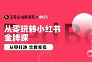 王导主·小红书电商运营实操课，​从零打造  全程实操-一点通资源网