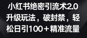 小红书绝密引流术2.0升级玩法,破封禁,轻松日引100+精准流量【揭秘】-一点通资源网