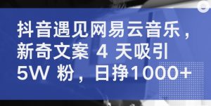 抖音遇见网易云音乐，新奇文案 4 天吸引 5W 粉，日挣1000+【揭秘】-一点通资源网