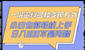 一份资料多种变现方式,小白也能轻松上手,日入800不是问题【揭秘】-一点通资源网