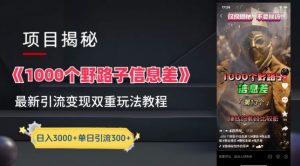 一千个野路子信息差最新玩法教程-变现+引流的玩法具体拆解【揭秘】-一点通资源网